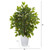 16" Mini Ficus Artificial Tree In White Planter 9912 By Nearly Natural