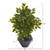 18" Mini Ficus Artificial Tree In Metal Bowl 9918 By Nearly Natural