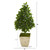 34" Sweet Bay Cone Topiary Tree In Country White Planter 9926 By Nearly Natural