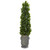 40 Sweet Bay Cone Topiary Tree In Vintage Metal Planter 9934 By Nearly Natural