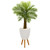 48 Robellini Palm Tree In White Planter With Stand 9939 By Nearly Natural