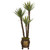 61 Yucca Artificial Tree In Decorative Planter 9970 By Nearly Natural