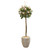 57 Rose Topiary Artificial Tree In Sand Colored Planter 9975 By Nearly Natural
