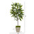 50" Ficus Artificial Plant In Country White Planter 9978 By Nearly Natural