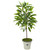 53 Ficus Artificial Plant In Decorative Planter 9981 By Nearly Natural