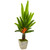 55 Traveler S Palm Tree In Country White Planter 9984 By Nearly Natural