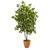 53 Oak Artificial Tree In Terra Cotta Planter 9995 By Nearly Natural