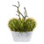 14 Cactus And Agave Succulent Plant In White Tin Planter P1281 By Nearly Natural