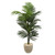62 Kentia Artificial Palm Tree In Sandstone Planter T1220 By Nearly Natural