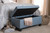 Baxton Studio Michaela Modern And Contemporary Light Blue Fabric Upholstered Storage Ottoman Ws 20091 Light Blue Otto By Wholesale Interiors