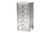 Baxton Studio Carel French Industrial Silver Metal 5-Drawer Accent Storage Cabinet LD18B054-Silver-5DW-Cabinet By Wholesale Interiors