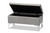 Mabel Grey Velvet Upholstered Silver Finished Storage Ottoman - SKU144505