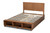 Baxton Studio Alba Modern Transitional Ash Walnut Brown Finished Wood Queen Size 4-Drawer Platform Storage Bed With Built-In Shelves Alba-Ash Walnut-Queen By Wholesale Interiors
