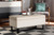Baxton Studio Esther Modern And Contemporary Beige Velvet Fabric Upholstered And Dark Brown Finished Wood Storage Ottoman Ws 20716 Beige Espresso Otto By Wholesale Interiors