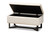 Baxton Studio Esther Modern And Contemporary Beige Velvet Fabric Upholstered And Dark Brown Finished Wood Storage Ottoman WS-20716-Beige/Espresso-Otto By Wholesale Interiors