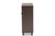 Baxton Studio Rossin Modern And Contemporary Dark Brown Finished Wood 2-Door Entryway Shoe Storage Cabinet With Bottom Shelf ATSC1613-Modi Wenge-Shoe Cabinet By Wholesale Interiors