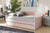 Baxton Studio Lennon Modern And Contemporary Pink Velvet Fabric Upholstered Full Size Daybed With Trundle Cf9172 Pink Velvet Velvet Daybed F T By Wholesale Interiors