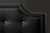 Baxton Studio Carlotta Black Modern Bed With Upholstered Headboard - Queen Size BBT6376-Black-Queen By Wholesale Interiors