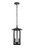 Elegant Lighting Outdoor Hanging L9 W9 H16 5 L2 Black Od327H17Bk