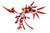 Eastern Model A T K Girl Vermilion Bird Plastic Model Kit Model Kits Other By Eastern Model Eo80030