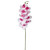 Moon Orchid Stem - Pack Of 4 600007 By CTW 1
