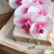Moon Orchid Stem - Pack Of 4 600007 By CTW 1