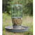 Hanging Mason Jar Birdfeeder 811277T By CTW