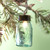 Glass Packi Mason Jar Ornament - Pack Of 6 811320 By CTW 1
