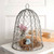 Chicken Wire 10 Inch Cloche 840045T By CTW