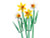 LEGO 40747 Narcissen