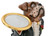 Boxer Dog Butler With Tray Statue Novelty Decor 10016364 By AFD
