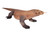 Lifesize Komodo Dragon Statue Wildlife Sculpture 10733566 By AFD