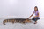 Lifesize American Alligator Statue Realistic Wildlife Sculpture 10773066 By AFD