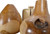 Mountain Studios Teak Organic Vase Set Of 3 12019567 By AFD