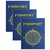 Ashley Blank Passports, 12 Per Pack, 3 Packs ASH10708-3