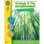 Classroom Ecology & The Environment Series, Ecology & Environment Big Book CCP4503