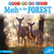 Discovery Math In The Forest CD-9781731639158