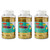 Charles Creative Arts Glitter, 1 Lb. Bottle, Gold, Pack Of 3 CHL41170-3