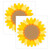 Creative Sunflower 6" Designer Cut-Outs, 36 Per Pack, 2 Packs CTP10594-2