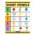 Eureka Crayola Short Vowels Chart, 17" X 22" EU-837556