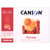 Canson Artist Series Canva Canvas Board, 16X20 Inch, 1 Count MCXC100516097