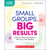 Scholastic Small Groups, Big Results SC-9781546150473