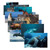 Stages Sea Life Poster Set, Set Of 14 SLM157