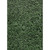 Teacher Better Than Paper Bulletin Board Roll, 4' X 12', Boxwood Design, 4 Rolls TCR32357
