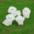 Light Yellow - 1/4/Pcs Nightglow Puppy Ornament Home Desk Fluorescence Mini White Dog Decoration Room Office Car Cute Diy Resin Ornament Crafts By WTB