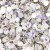 Ss3~Ss20 Size Rhinestone Top Quality Crystal Non Hotfix Rhinestone Super Bright Glass Strass Diy Nail Art Decorations By WTB