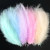 Red, Size: L - Feathers 10-15Cm Turkey Plume 4-6 Inches 50 Pcs Chicken Feather Colorful Plumas Para Manualidades For Wedding Dress Decoration By WTB
