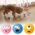 Blue - Pet Dog Toy Puppy Cat Sounding Toy Squeaky Dog Toys Pets Internective Toy Big Eyes Bouncy Dog Balls Toy Ball Pet Chew Balls Toy By WTB