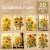 10 Sheets A5 Size Autumn Sunflower Sunset Background Vintage Grunge Journal Planning Scrapbooking By WTB
