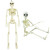 16 Inches Simulation Halloween Human Skeleton Ghost Festival Movable Skull Ornament Halloween Party Decoration Props Skeleton By WTB